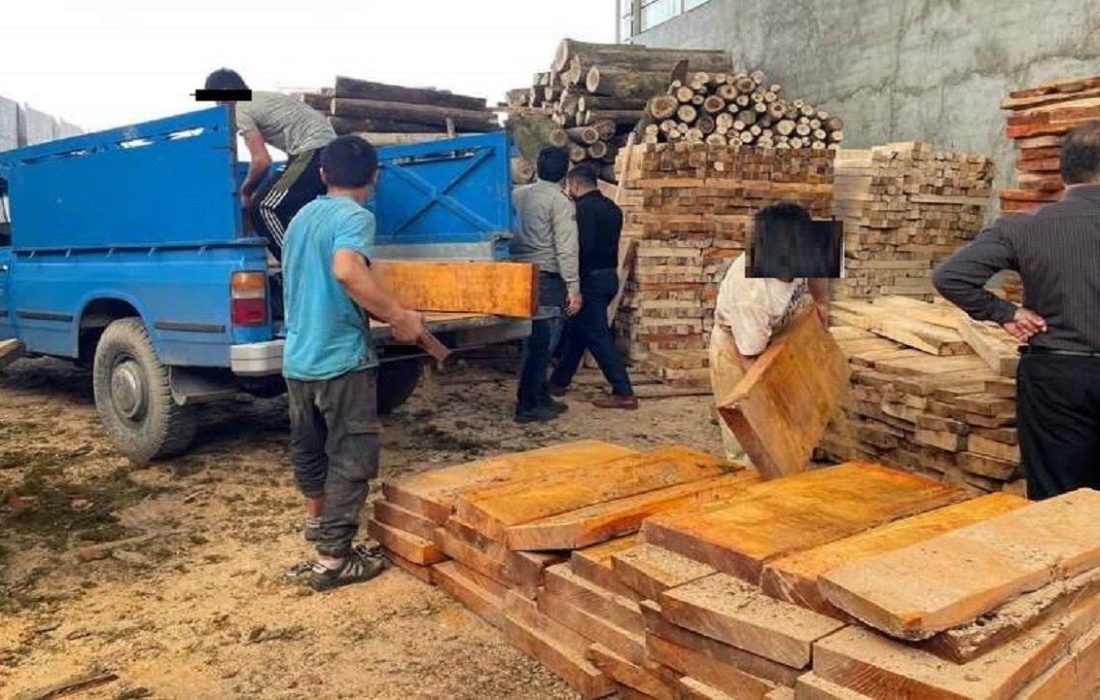 کشف ۳۵ تن چوب جنگلی قاچاق در بابل