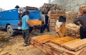 کشف ۳۵ تن چوب جنگلی قاچاق در بابل