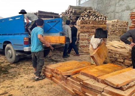 کشف ۳۵ تن چوب جنگلی قاچاق در بابل